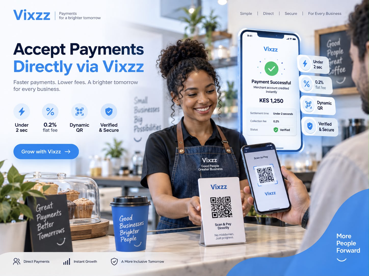 Direct Vixzz Fast Cheap and Safe Payment Acceptance Preview